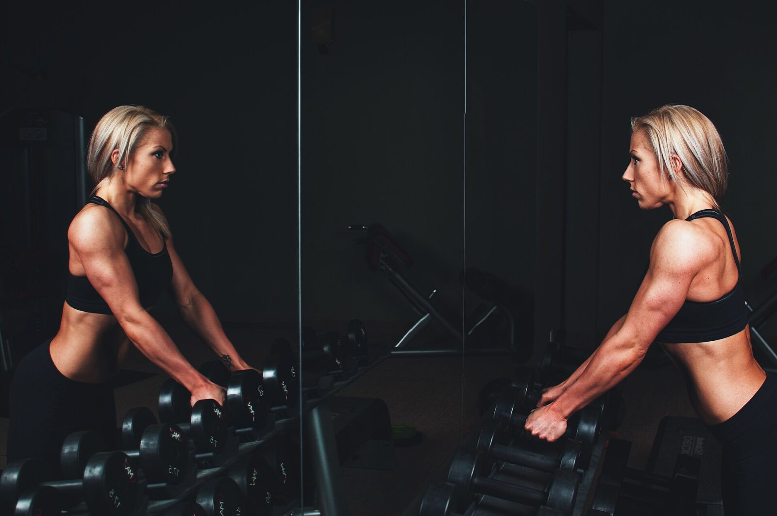 Demo Fitness Club